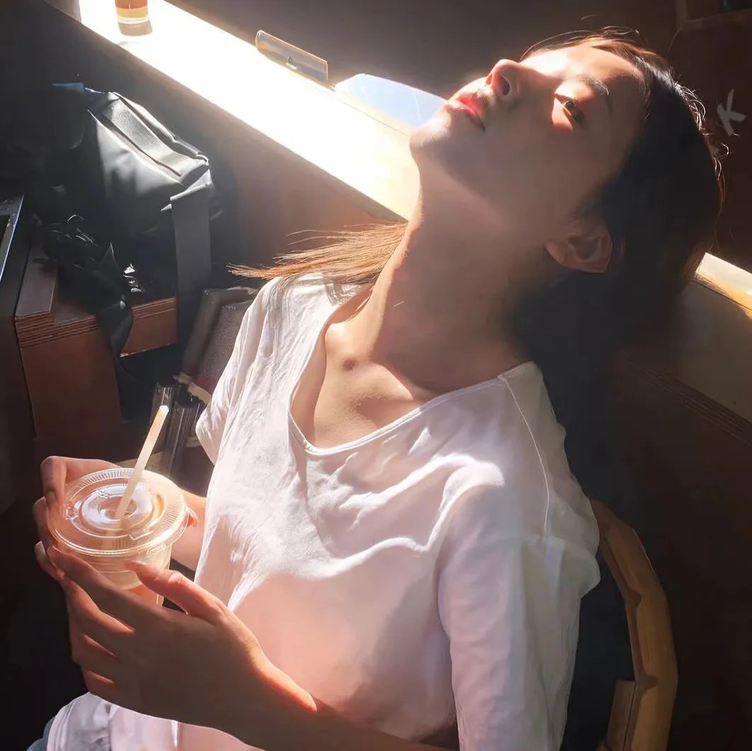 明月守护者封面